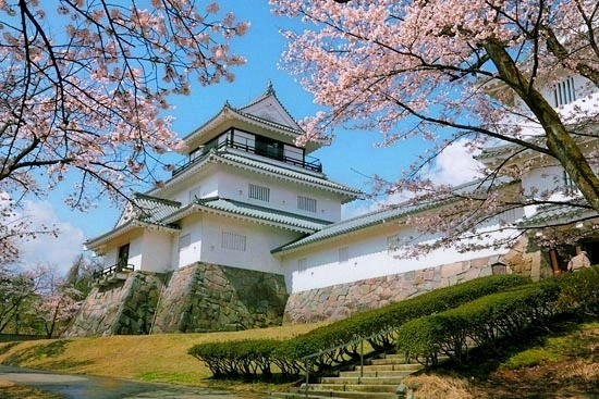 悠久山公園の桜 長岡市の桜 桜のある風景 新潟フォトギャラリー