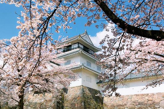 悠久山公園の桜 長岡市の桜 桜のある風景 新潟フォトギャラリー